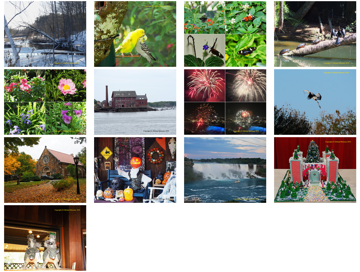 Small combination photos used for the 2019 Meissner family calendar