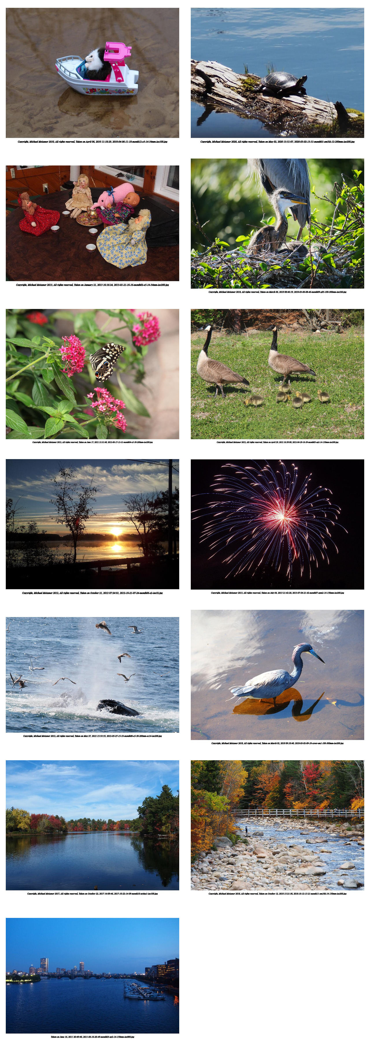 Combination photos used for the 2021 Meissner family calendar