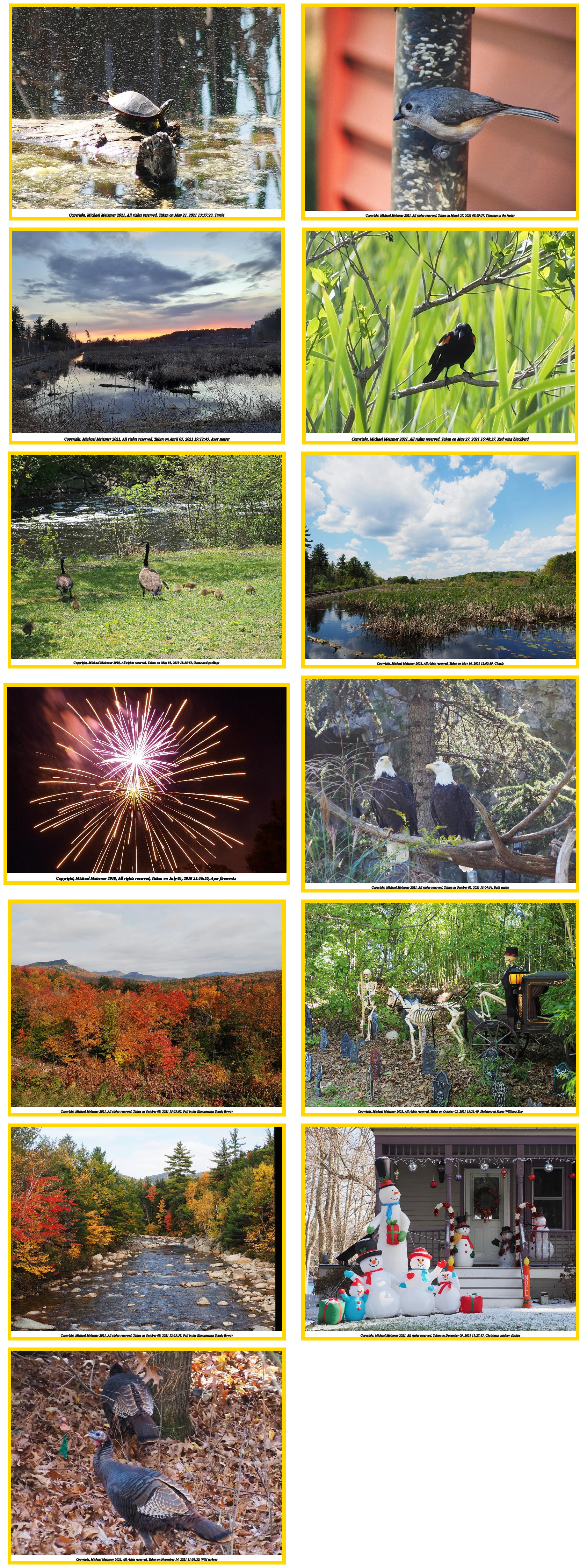 Combination photos used for the 2022 Meissner family calendar