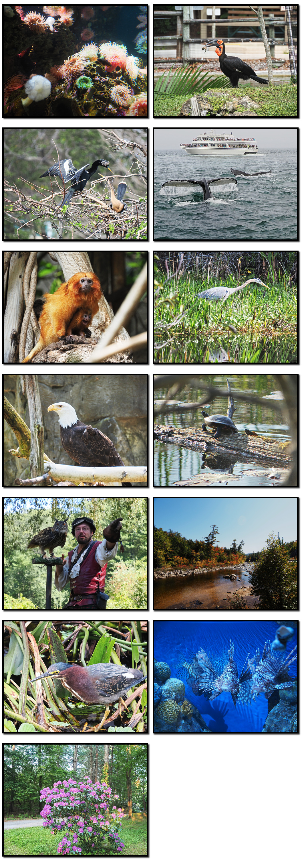 Combination photos used for the 2024 Meissner family calendar